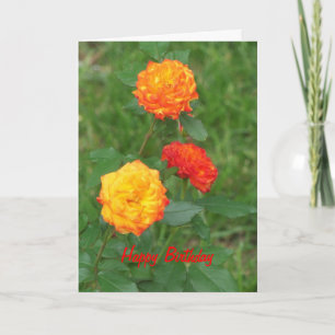 Cartão Rosas Amarelas e Laranja, Aniversário Especial