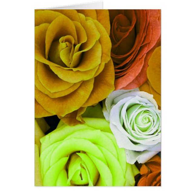 Cartão Rosas coloridos (Frente)