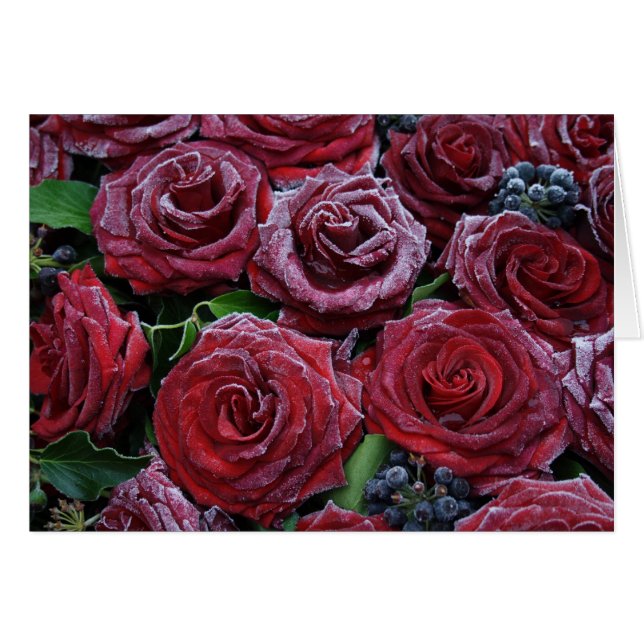 Cartão Rosas congelados (Frente Horizontal)