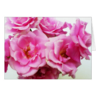 Cartão Rosas cor-de-rosa