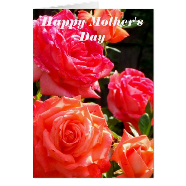 Cartão Rosas de laranja de coral vermelho Elegante (Frente)