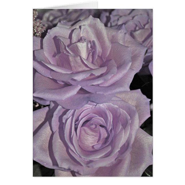 Cartão Rosas de lavanda (Frente)