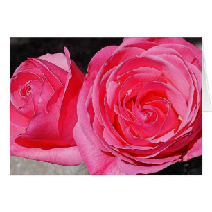 Cartão Rosas de Subida Rosa