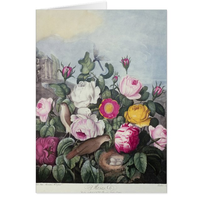 Cartão Rosas, 'do templo de Flora (Frente)