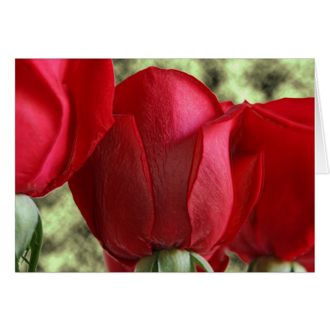 Cartão rosas doces (Frente Horizontal)