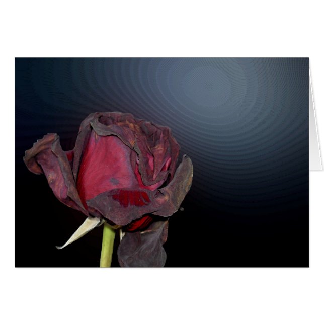 Cartão Rosas inoperantes 1 (Frente Horizontal)