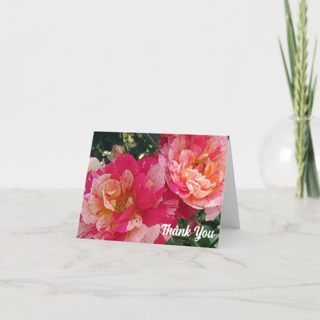 Cartão Rosas Listradas de Rosa e Branco 4" x 5.6" Obrigad (Frente)