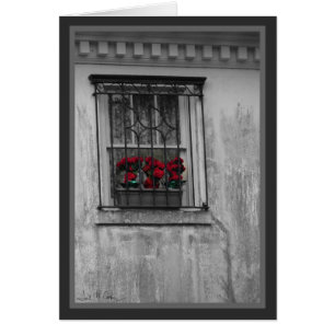 Cartão Rosas na janela