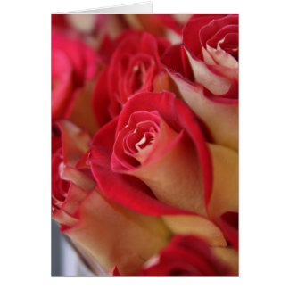 Cartão Rosas na NYC