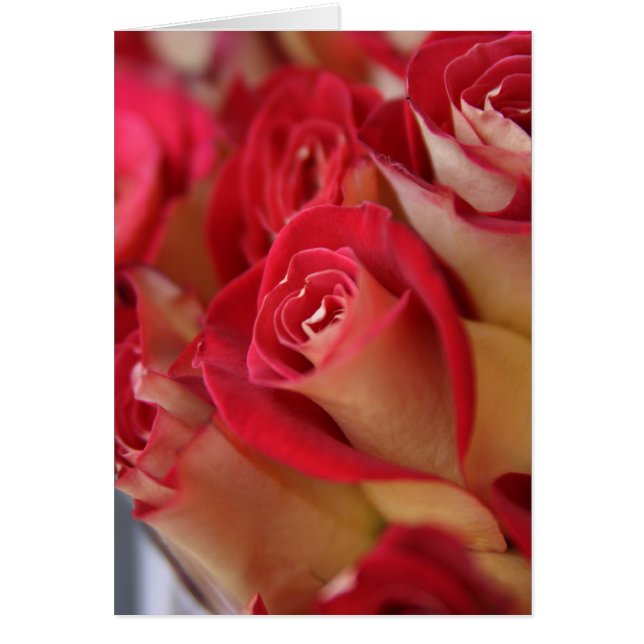 Cartão Rosas na NYC (Frente)