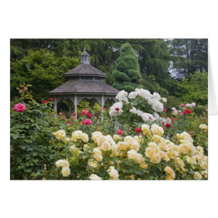 Cartão Rosas no Jardim Rosa da Flor e Gazebo