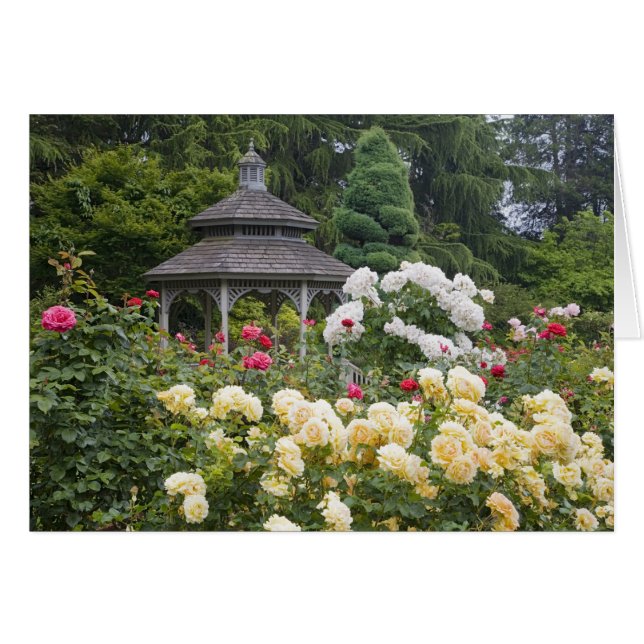 Cartão Rosas no Jardim Rosa de Flores e Gazebo (Frente Horizontal)