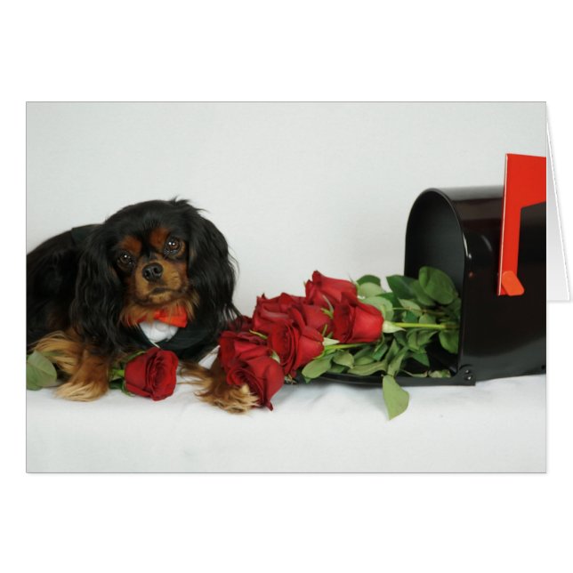 Cartão Rosas para você (Frente Horizontal)