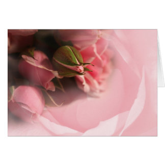 Cartão Rosas Rosa