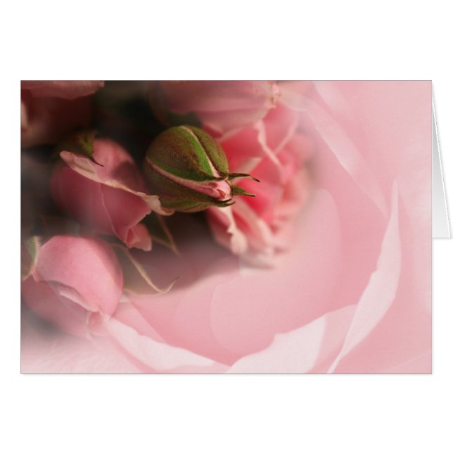 Cartão Rosas Rosa (Frente Horizontal)