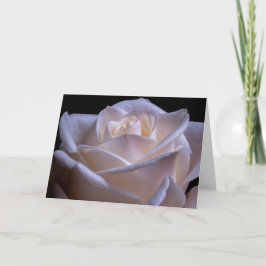 Cartão Rosas rosa com rosca