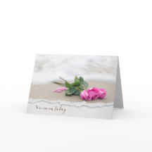 Rosas Rosa De Aniversário Na Praia