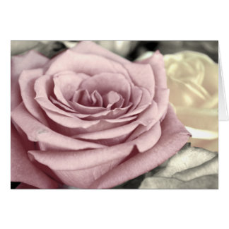 Cartão ~Rosas SToP ND SMeLL TH~