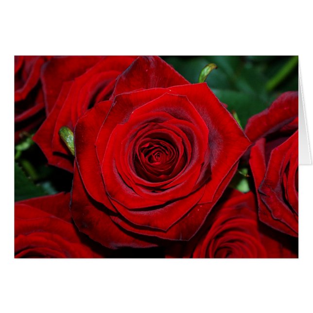 Cartão Rosas vermelhas (Frente Horizontal)