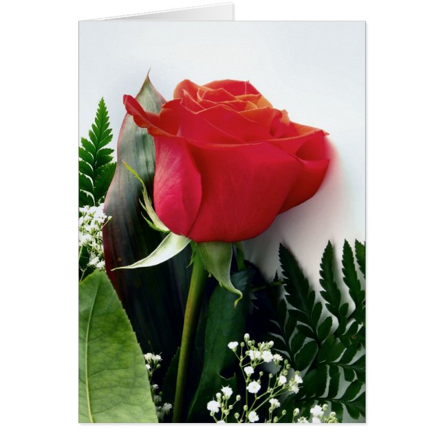 Cartão Rosas vermelhas (Frente)