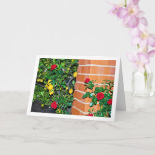 Cartão Rosas vermelhas e limões