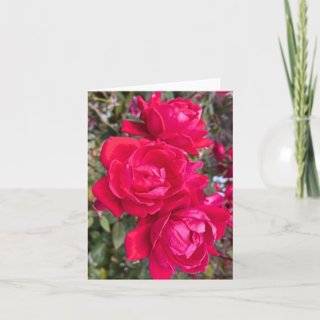 Cartão Rosas vermelhas, Três Rosas vermelhas Escuras Em U (Frente)