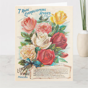 Cartão Rosas Vintage Coloridas Belas Ephemera Saudação