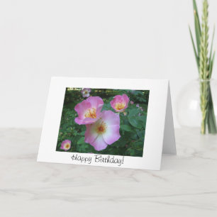 Cartão Rose birthday card