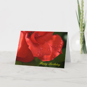 Cartão Rose dew birthday card