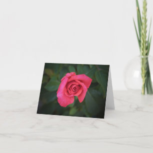 Cartão Rose Garden Note Card