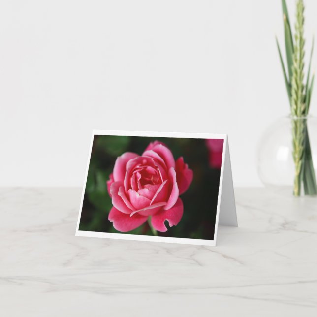 Cartão Rose Notecard (Frente)