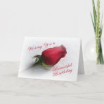 Cartão Rose on the Snow - personalize  the message<br><div class="desc">Nothing says as much as beautifully as a rose-whether it's love or sincerity. Elegant choice for anyone-friend,  mate or lover. Use words included or add your own.</div>