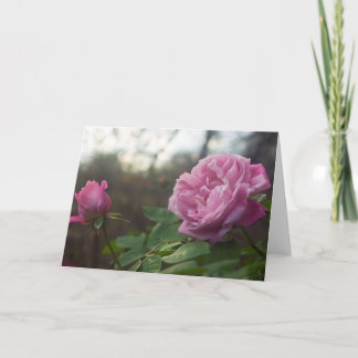 Cartão Rose Photo Standard, 5" x 7" Folded Greeting Card