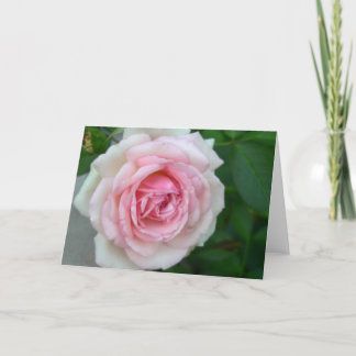 Cartão Rose (Pink -> White Gradient)