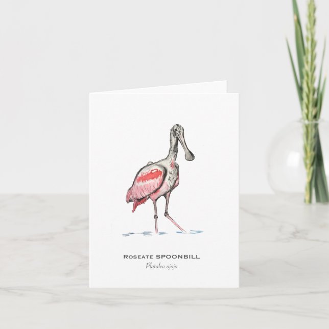 Cartão Roseate Spoonbill Folded Note Card (Frente)