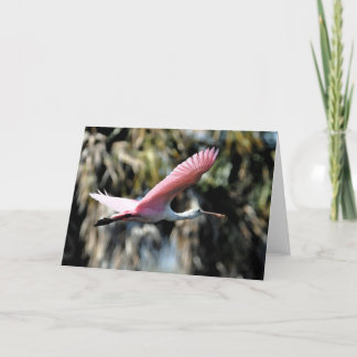 Cartão Roseate Spoonbill Watercolor Wash
