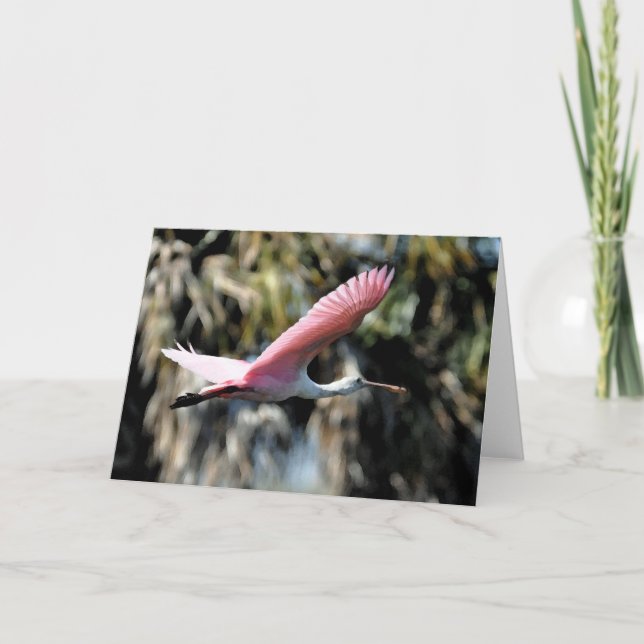 Cartão Roseate Spoonbill Watercolor Wash (Frente)