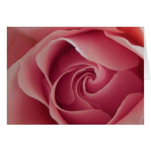 Cartão Rosebud (Frente horizontal)