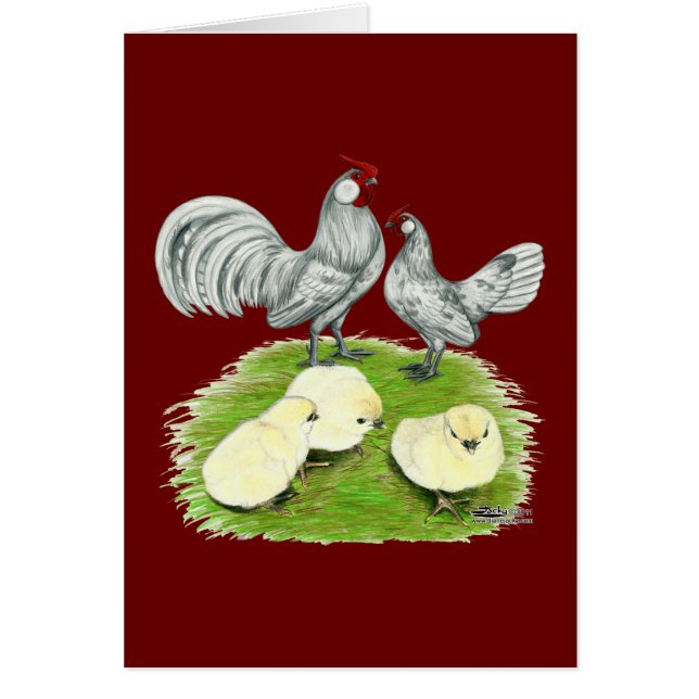 Cartão Rosecomb Bantams e Pintinhos (Frente)