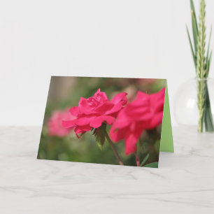 Cartão Roses