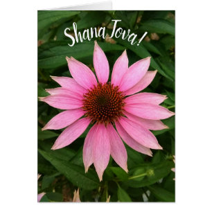 Cartão Rosh Hashanah, Coneflower Puro Brilhante