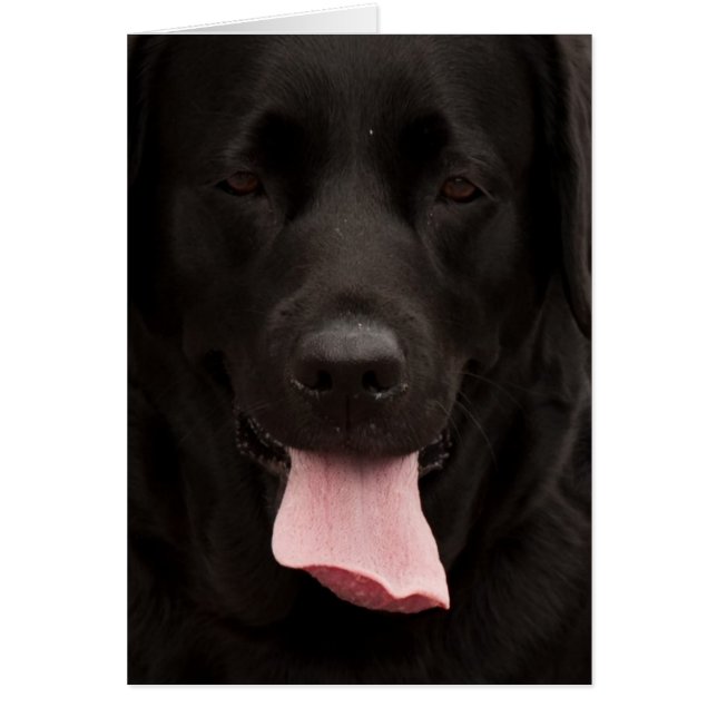 Cartão Rosto de cachorro preto (Frente)