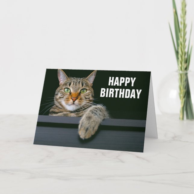 Cartão Rosto de Gato Tabby Cinza | Feliz Aniversário (Frente)