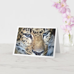 Cartão Rosto de Leopardo