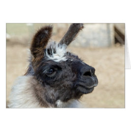 Cartão Rosto de pele