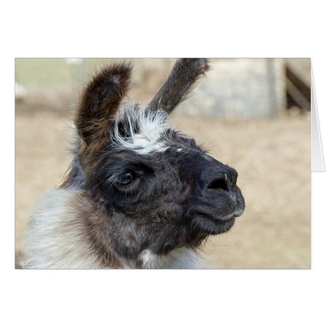 Cartão Rosto de pele (Frente Horizontal)