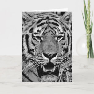 Cartão Rosto de Tigre Preto e Branco