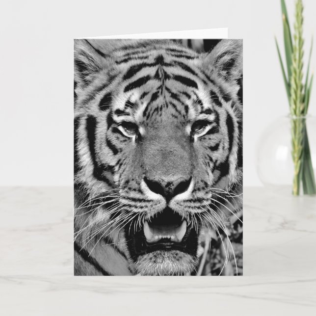 Cartão Rosto de Tigre Preto e Branco (Frente)