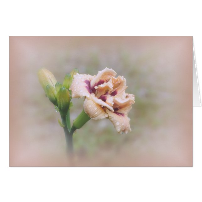 Cartão Roswita Daylily Floral - Pastel (Frente Horizontal)