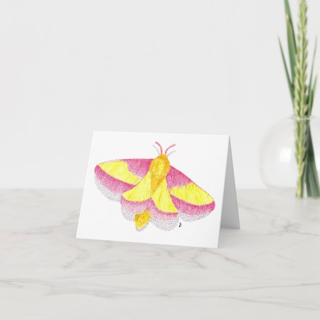 Cartão Rosy Maple Moth (Frente)